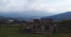 IFS VENDE: FINCA  CON TRAPICHE EN MUNICIPIO GUASIMOS ESTADO TÁCHIRA  VENEZUELA.