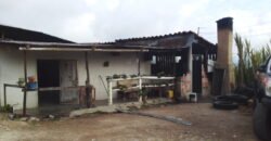 IFS VENDE: FINCA  CON TRAPICHE EN MUNICIPIO GUASIMOS ESTADO TÁCHIRA  VENEZUELA.