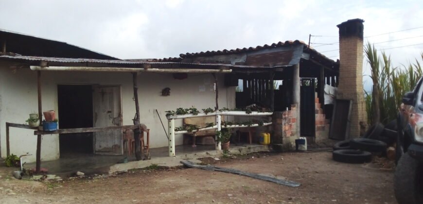 IFS VENDE: FINCA  CON TRAPICHE EN MUNICIPIO GUASIMOS ESTADO TÁCHIRA  VENEZUELA.