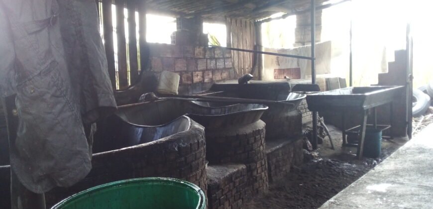 IFS VENDE: FINCA  CON TRAPICHE EN MUNICIPIO GUASIMOS ESTADO TÁCHIRA  VENEZUELA.