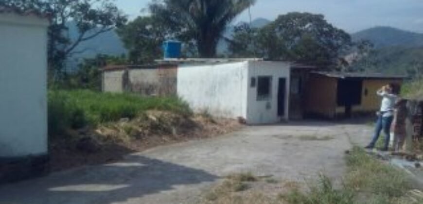 VENDE:  TERRENO EN EL PALMAR  MUNICIPIO TORBES ESTADO TÁCHIRA VENEZUELA.
