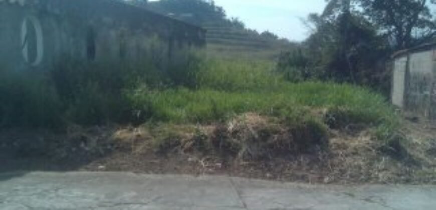 VENDE:  TERRENO EN EL PALMAR  MUNICIPIO TORBES ESTADO TÁCHIRA VENEZUELA.