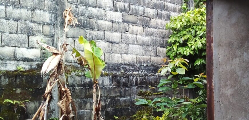 CASA ECONÓMICA EN SANTA ANA DEL TÁCHIRA, VENEZUELA.